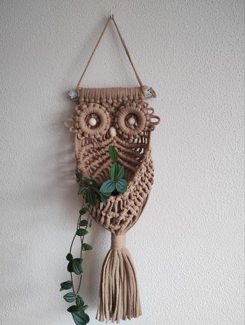 Macramé Uil Plantenhanger. Sisters Forever. beschikbaar voor biedingen