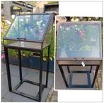 Moestuin kas, kweekkas, greenhouse koudebak staal/glas NIEUW, Ophalen, Nieuw, Kweekbak