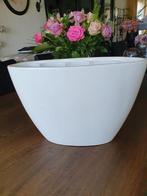 Witte bloempot., Huis en Inrichting, Ophalen of Verzenden, Halfschaduw, Minder dan 100 cm