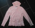 vest met capuchon maat L, Kleding | Dames, Positiekleding, Invorm, Verzenden, Trui of Vest, Maat 42/44 (L)