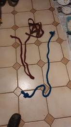 Halster met 2 Halstertouwen, Ophalen