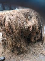 Super mooie echt paarden hooi!, Dieren en Toebehoren, Dierenvoeding, Ophalen of Verzenden, Vee