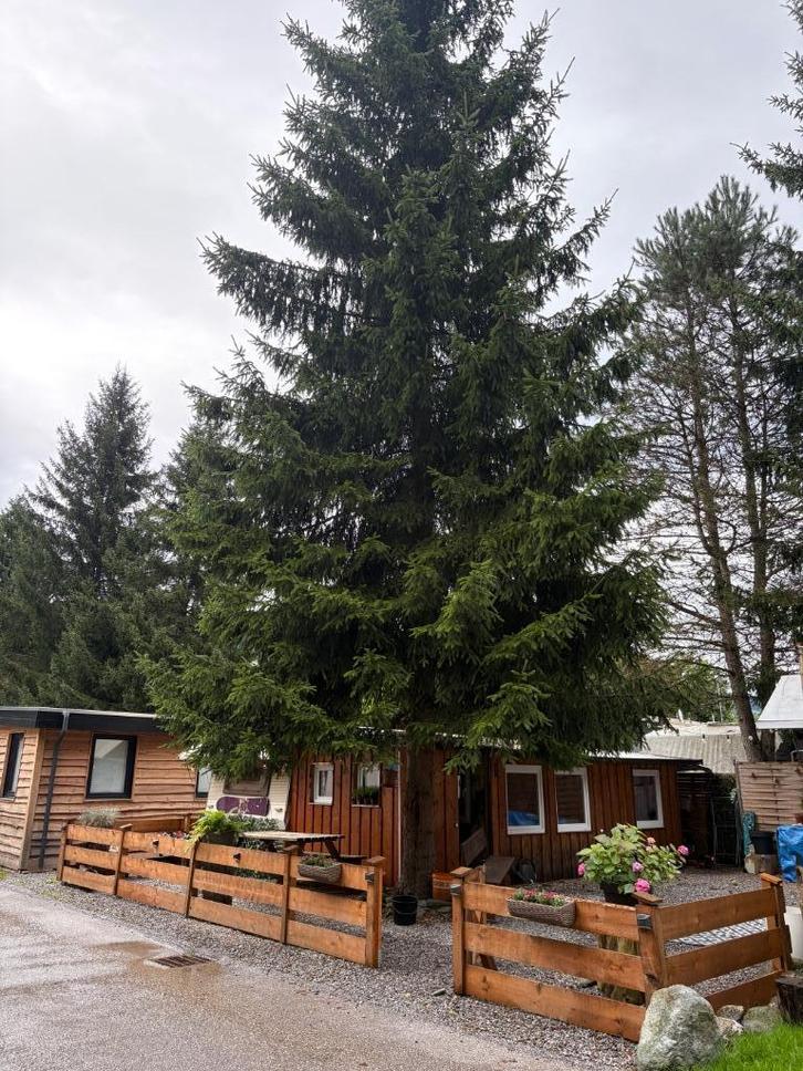 ️ Te koop: knusse hut op Campingwelt Brixen im Thale, Caravans en Kamperen, Stacaravans, Ophalen