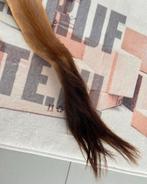 Staart van een Sabelantilope - Taxidermy sabel antilope, Verzamelen, Ophalen of Verzenden, Zo goed als nieuw, Overige typen