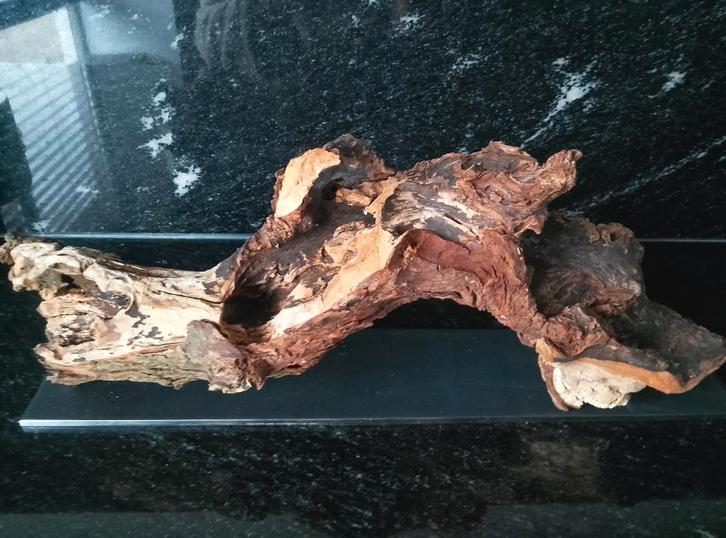 Houten stam op stalen voet - decoratie, Huis en Inrichting, Woonaccessoires | Wanddecoraties, Nieuw, Ophalen of Verzenden