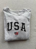 Grijze USA Trui - Maat M, Ophalen of Verzenden, Zo goed als nieuw, Maat 38/40 (M), Grijs