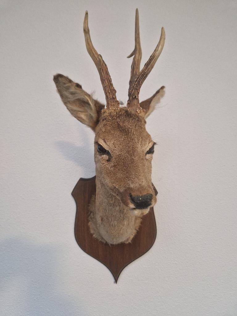 brocante, Antiek en Kunst, Curiosa en Brocante, Ophalen