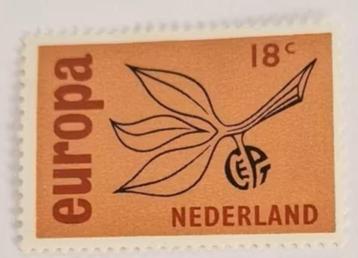 Nederland 1965 - nvph 847 - Europa – Twijg en vrucht beschikbaar voor biedingen