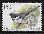 België 1997   Vogel  Ekster   2749  (Pfr), Verzenden, Postfris