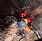 Vampierkrabben, Dieren en Toebehoren, Reptielen en Amfibieën, 0 tot 2 jaar