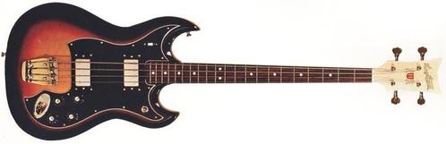 ***Looking for a Hagstrom HIIBN***, Muziek en Instrumenten, Snaarinstrumenten | Gitaren | Bas, Gebruikt, Ophalen