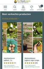 Vrucht en Notenbomen  | walnoot pekan hazel amandel pawpaw, Tuin en Terras, Planten | Fruitbomen, Lente, In pot, Ophalen of Verzenden