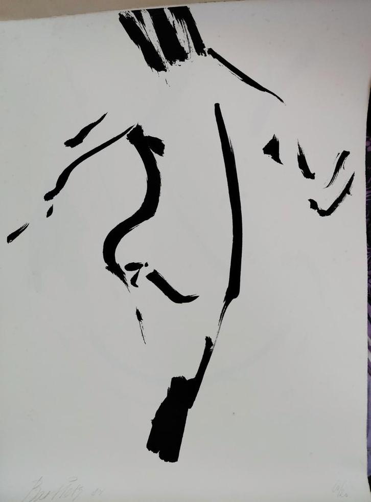 'Presto', 5 zeefdrukken van Bart Pots, Antiek en Kunst, Kunst | Tekeningen en Foto's, Ophalen