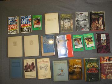 Diverse romans van bekende schrijvers  beschikbaar voor biedingen