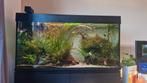 aquarium 120cm inc inhoud krasvrij!, Ophalen, Zo goed als nieuw, Gevuld zoetwateraquarium