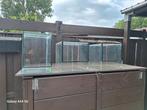 3x terrarium, Overige soorten