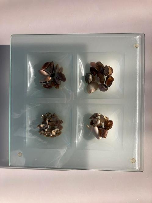 Schaal met 4 vakken voor decoratie, Huis en Inrichting, Woonaccessoires | Schalen en Manden, Zo goed als nieuw, Vierkant, Glas