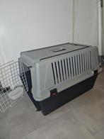 bench reisbench reiskooi hond kat groot zgan, Ophalen, Nieuw