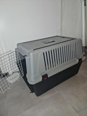 bench reisbench reiskooi hond kat groot zgan beschikbaar voor biedingen