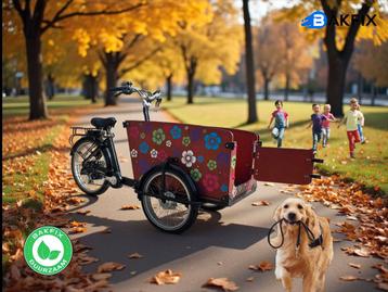 Elektrische Babboe Big/Dog hondenbakfiets met certificaat beschikbaar voor biedingen