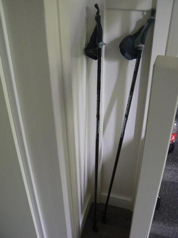 Exel Nordic Walking stokken 120 cm trainer carbon + voetjes beschikbaar voor biedingen