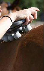 Verzorging behandeling pony paard, Dieren en Toebehoren, Ophalen, Nieuw