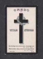 Bidprentje Van Buggenum Ummels Wessem 1917., Ophalen of Verzenden, Bidprentje