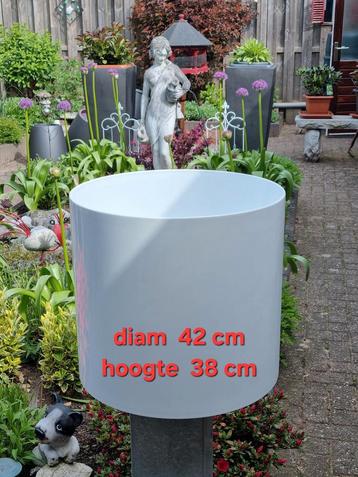 Schitterende  PLANTENBAK                     diameter 42 cm beschikbaar voor biedingen
