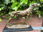 bronzen hond greyhound windhond, Antiek en Kunst, Ophalen of Verzenden