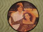 Duncan Browne 7" Picture Disc Single: ‘The wild places’ (UK), Cd's en Dvd's, Ophalen of Verzenden, 7 inch, Pop, Single