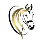 Bijrijd(st)er gezocht voor pittige merrie in Oirschot, 1 paard of pony