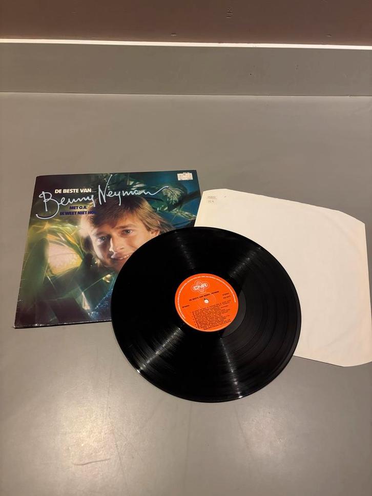 Vinyl Platen Collectie - Diverse Artiesten nederlands talig, Cd's en Dvd's, Vinyl | Overige Vinyl, Gebruikt, 12 inch, Ophalen of Verzenden