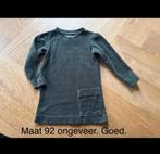Truitje. Maat 92, Ophalen of Verzenden, Zo goed als nieuw, Meisje, Trui of Vest