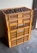 Walnoten €3,50 per kilo, Ophalen