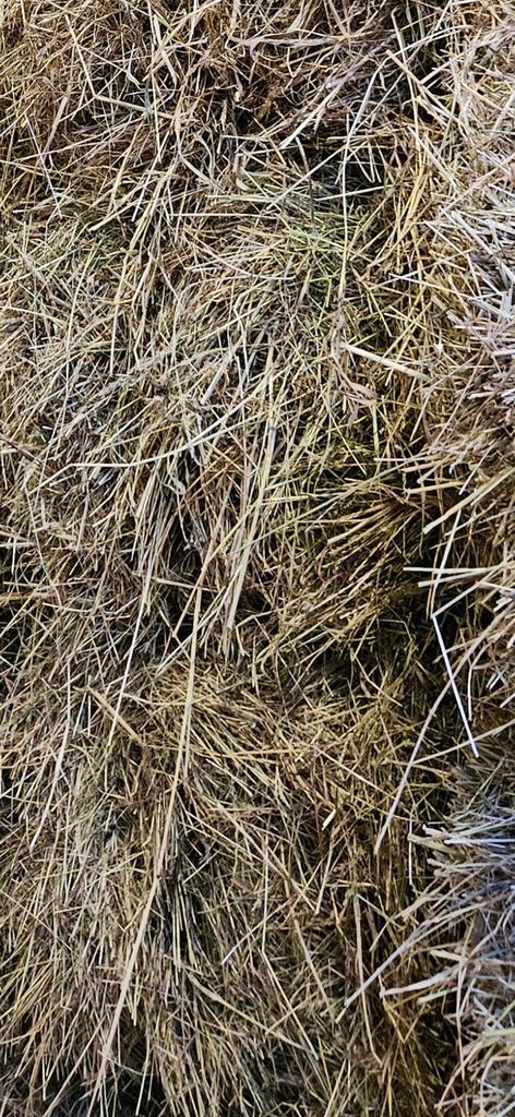 Kleine baaltjes hooi te koop, Dieren en Toebehoren, Dierenvoeding, Ophalen of Verzenden