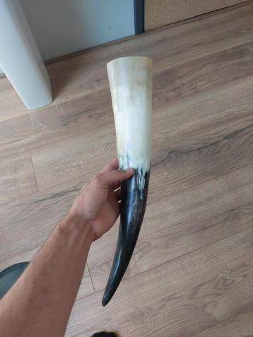 Viking Hoorn (stierenhoorn) beschikbaar voor biedingen