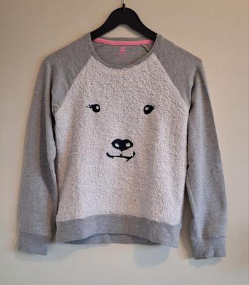 Trui/sweater Hema maat 146-152 beschikbaar voor biedingen