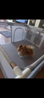 Grondbox met basket zonder hond., Ophalen of Verzenden, Gebruikt