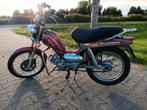 Tomos revival, Fietsen en Brommers, Brommers | Tomos, Ophalen, Zo goed als nieuw, Standard