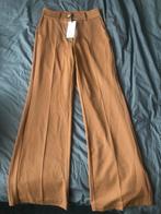 Nieuwe costes pantalon maat M, Ophalen of Verzenden, Nieuw, Maat 38/40 (M), Bruin