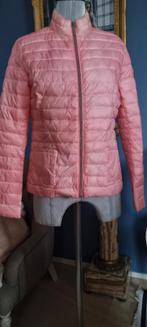 Rose winter dons jack dames Frieda & Freddies New York, Kleding | Dames, Nieuw, Ophalen of Verzenden, Roze, Maat 36 (S)