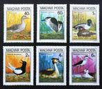 Hongarije - vogels - serie van 6 beschermde vogels 1980 , Ophalen of Verzenden, Dier of Natuur
