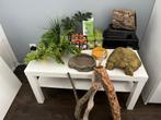Reptielen spullen, Dieren en Toebehoren, Reptielen en Amfibieën | Toebehoren, Ophalen of Verzenden, Terrarium of Paludarium