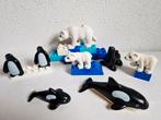 Duplo dierentuin dieren pooldieren orka ijsbeer zeehond etc, Ophalen of Verzenden, Gebruikt, Duplo