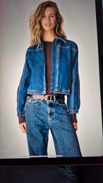 Anna van Toor Bomberjack - Nieuw!, Anna van Toor, Blauw, Maat 46/48 (XL) of groter, Nieuw