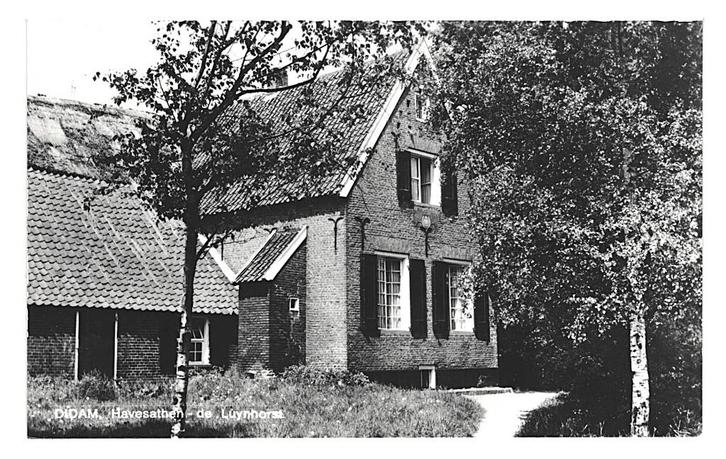 979016 Didam Gld 1976 De Luynhorst _Nette oude kaart Niet ge, Verzamelen, Ansichtkaarten | Nederland, Ongelopen, Gelderland, 1960 tot 1980