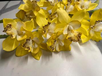 Orchidee 2 takken van 6 en 8 zijden bloemen 66cm beschikbaar voor biedingen