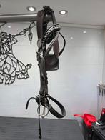 Menhoofdstel bruin leer, Dieren en Toebehoren, Paarden en Pony's | Hoofdstellen en Tuigage, Ophalen, Zo goed als nieuw, Springen