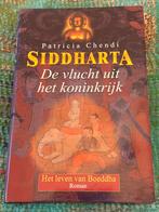 Patricia Chendi - 1 De vlucht uit het koninkrijk, Ophalen of Verzenden, Nederland, Patricia Chendi, Zo goed als nieuw