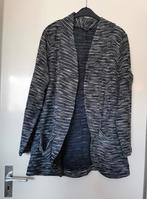10 .. zgan vest maat 48, Kleding | Dames, Grote Maten, Ophalen of Verzenden, Zo goed als nieuw, Overige kleuren, Trui of Vest